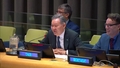 (Main Committee II) Review Conference of the Parties to the Treaty on the Non-Proliferation of Nuclear Weapons (NPT)