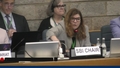 Seventh meeting of the Subsidiary Body on Implementation (SBI-7) - AM session