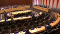 2026 ECOSOC Humanitarian Affairs Segment - Economic and Social Council, 29th Plenary Meeting