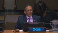 Ad hoc Working Group on Mandate Implementation Review - General Assembly, 80th session