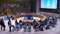 The situation in the Middle East, including the Palestinian question - Security Council, 10207th meeting