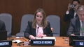 (Session 1) Introduction to the UN Security Council - Briefing for Delegates on the Work of the United Nations Security Council