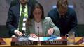 The situation in the Middle East - Security Council, 10215th meeting