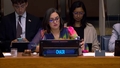 (9th meeting) Plenary Session, Global Mechanism on ICTs in the Context of International Security (20-24 July)