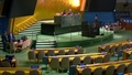 General Assembly: 110th Plenary meeting, 80th session