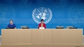 OHCHR - Press conference: UN Special Rapporteur on Violence Against Women and Girls