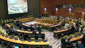 (Main Committee II) Review Conference of the Parties to the Treaty on the Non-Proliferation of Nuclear Weapons (NPT)