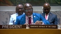 Strengthening the mechanisms for the peaceful settlement of disputes: follow-up to Security Council resolution 2788 (2025) - Security Council, 10201st meeting