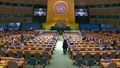 Preventing and Combating Illicit Trafficking in Wildlife and other Crimes that Affect the Environment - High-level debate, General Assembly, 80th session