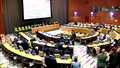 (Main Committee III followed by 11th Plenary meeting) Review Conference of the Parties to the Treaty on the Non-Proliferation of Nuclear Weapons (NPT)