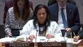 The situation in the Middle East - Security Council, 10163rd meeting