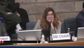 Seventh meeting of the Subsidiary Body on Implementation (SBI-7) - AM session