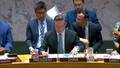 Maintenance of peace and security of Ukraine - Security Council, 10160th meeting