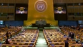 General Assembly: 96th plenary meeting, 80th session