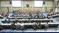 Seventh meeting of the Subsidiary Body on Implementation (SBI-7) - AM session