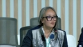 Roundtables - Grassroots and Civil Society Organizations Roundtable (WUF13)