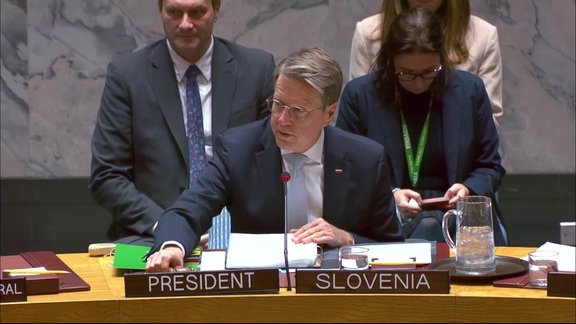 Maintenance of international peace and security: Leadership for Peace - Security Council, 100067th meeting