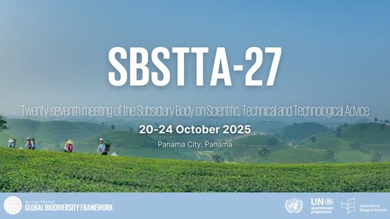Latino American and Caribbean Youth Visions on Just Transitions", a Report for decision-making (SBSTTA-27)