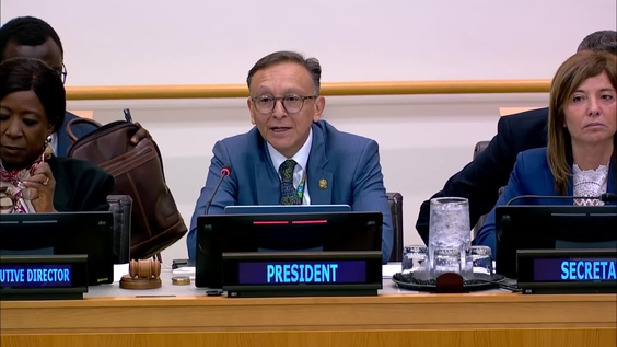 (3rd meeting) Executive Board of UNDP, UNFPA and UNOPS (Second regular session 2025)