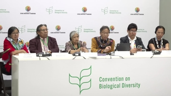 Press Conference: International Indigenous Forum on Biodiversity (SB8J)