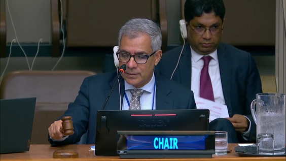 Second Committee, 28th plenary meeting - General Assembly, 79th session