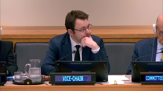 (20th plenary meeting) Committee on Non-Governmental Organizations, 2026 resumed session, Economic and Social Council
