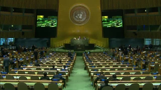 联合国大会第71届会议第25次全体会议