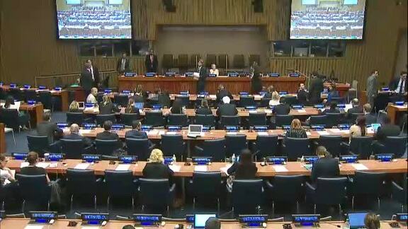 Panel Discussion on Criminalizing Illegal Use of Force