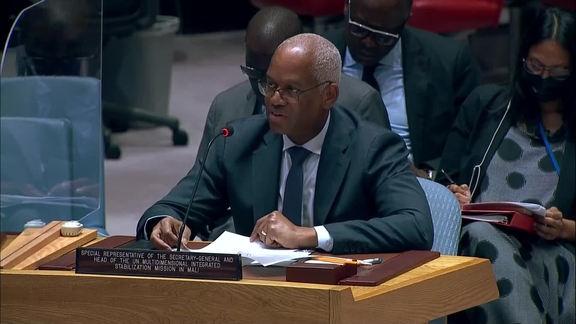 The situation in Mali - Security Council, 9061st Meeting