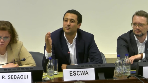 5th Meeting, 17th Session of the Expert Group on Resource Management