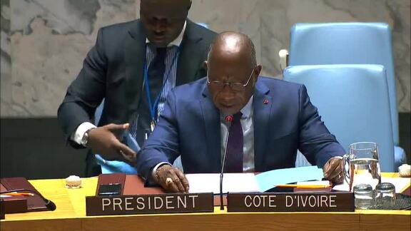 8434th Security Council Meeting: Situation in Middle East