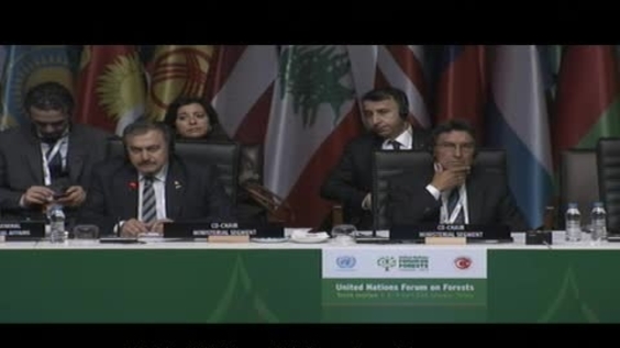 Madagascar, UN Forum on Forests, 10th session