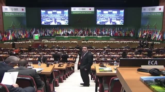 UN Forum on Forests: Forest Synergies in Istanbul