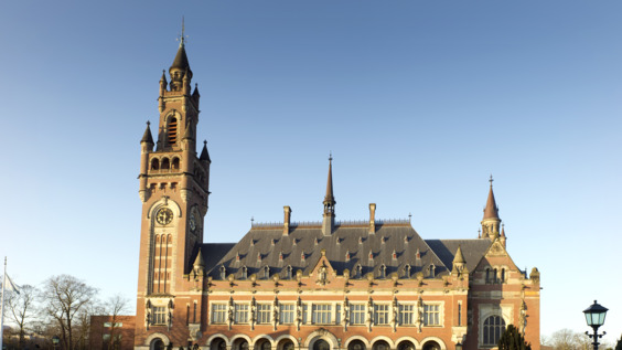 THE HAGUE – The International Court of Justice (ICJ) holds public hearings in the advisory proceedings - China, Iran, Iraq, Ireland, Japan and Jordan