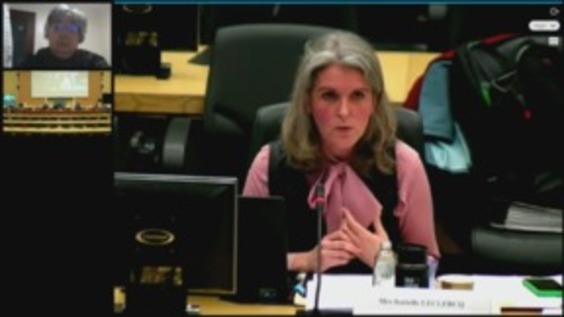 Consideration of Belgium (Cont'd) - 2815th Meeting, 103rd Session Committee on Elimination of Racial Discrimination