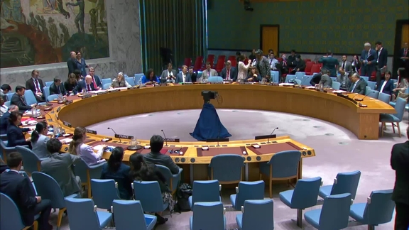 The question concerning Haiti - Security Council, 9679th meeting