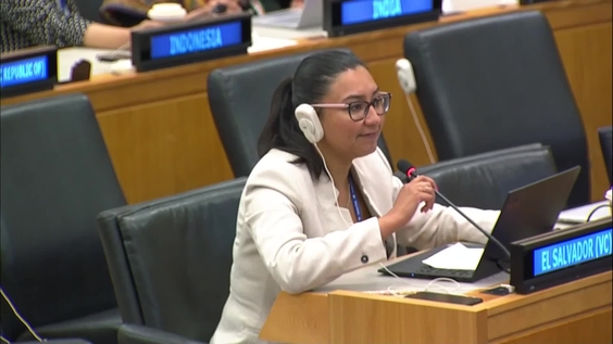 8th Meeting - Eighth Biennial Meeting of States on Small Arms and Light Weapons