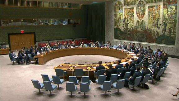 8013th Security Council Meeting: Situation in Burundi