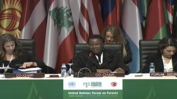 14th plenary meeting - UN Forum on Forests, 10th session