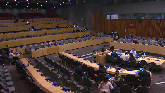 Economic and Social Council: 20th plenary meeting - 2025 Operational Activities for Development Segment, Day 3