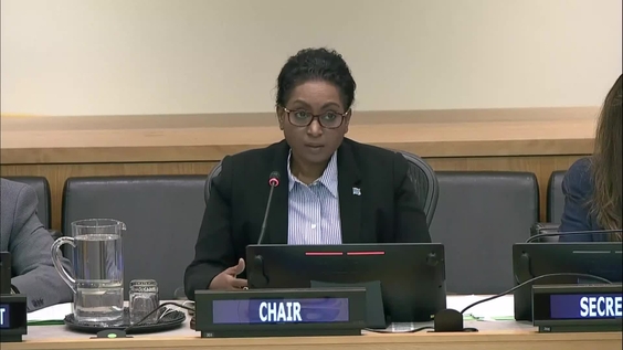 Special Committee on Decolonization (C-24) - 9th plenary meeting, 2023 resumed session