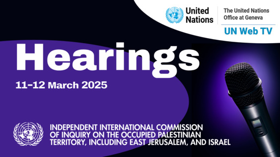 Afternoon Session (Day 1) Public Hearings - Commission of Inquiry on the OPT and Israel