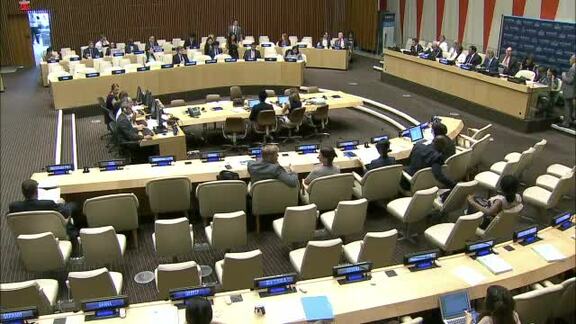 47th Meeting of ECOSOC 2016 Session: Coordination and Management 
