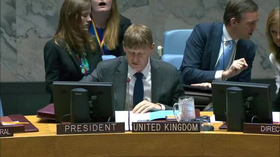 8667th Security Council Meeting: Situation in Libya
