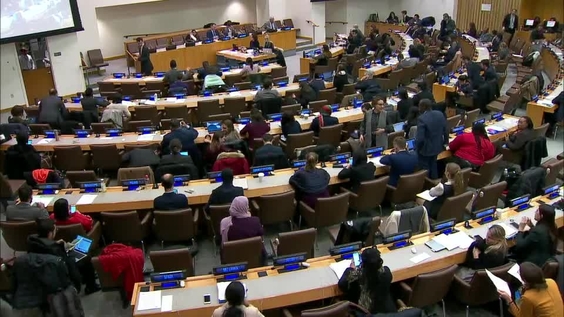 Third Committee, 50th meeting - General Assembly, 74th session