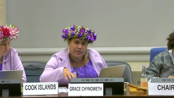 3013th Meeting, 93rd Session, Committee on the Elimination of Discrimination against Women (CEDAW)