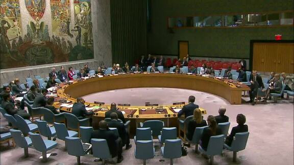 8262nd Security Council Meeting: Maintenance of International Peace and Security Part 2