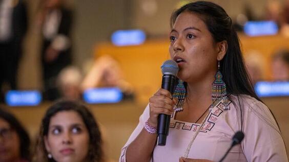 (13th plenary meeting) Committee on Non-Governmental Organizations, 2026 regular session, Economic and Social Council