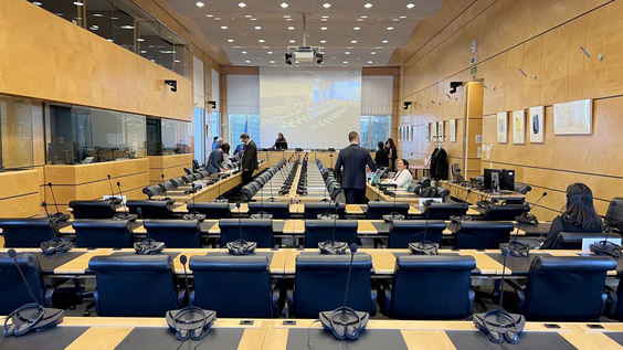 4265th Plenary Meeting