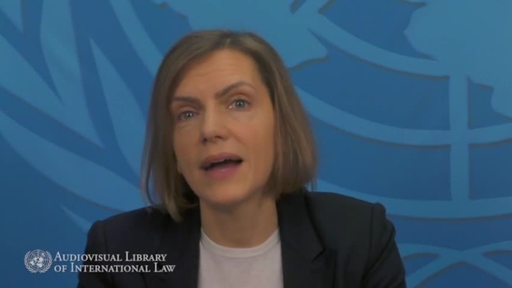 Kristina Daugirdas - How and Why International Law Binds International Organizations